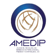 Logotipo de la AMEDIP - Academia Mexicana de Derecho Internacional Privado y Comparado - Respaldo académico del despacho